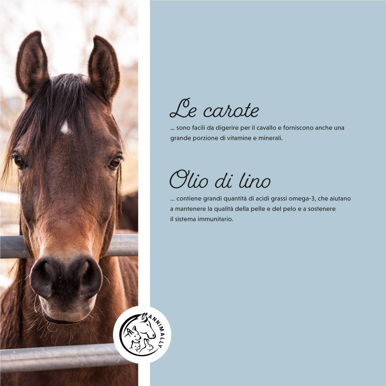 Testo su carote e olio di lino. Logo: Cavallo. Cavallo dietro una recinzione.