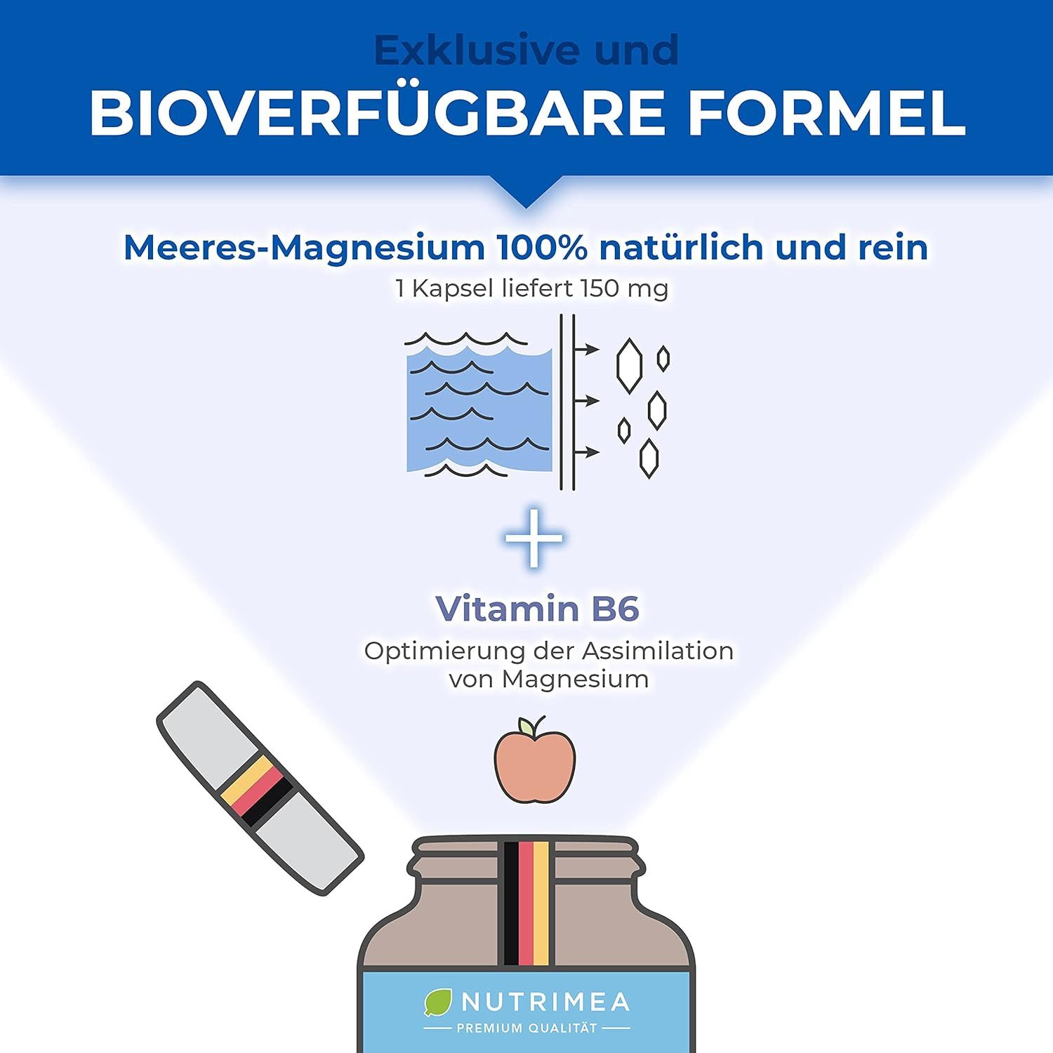 Grafico: Magnesio marino 100% naturale e puro. 1 capsula fornisce 150 mg. Più vitamina B6. Ottimizzazione dell'assimilazione del magnesio. Flacone.