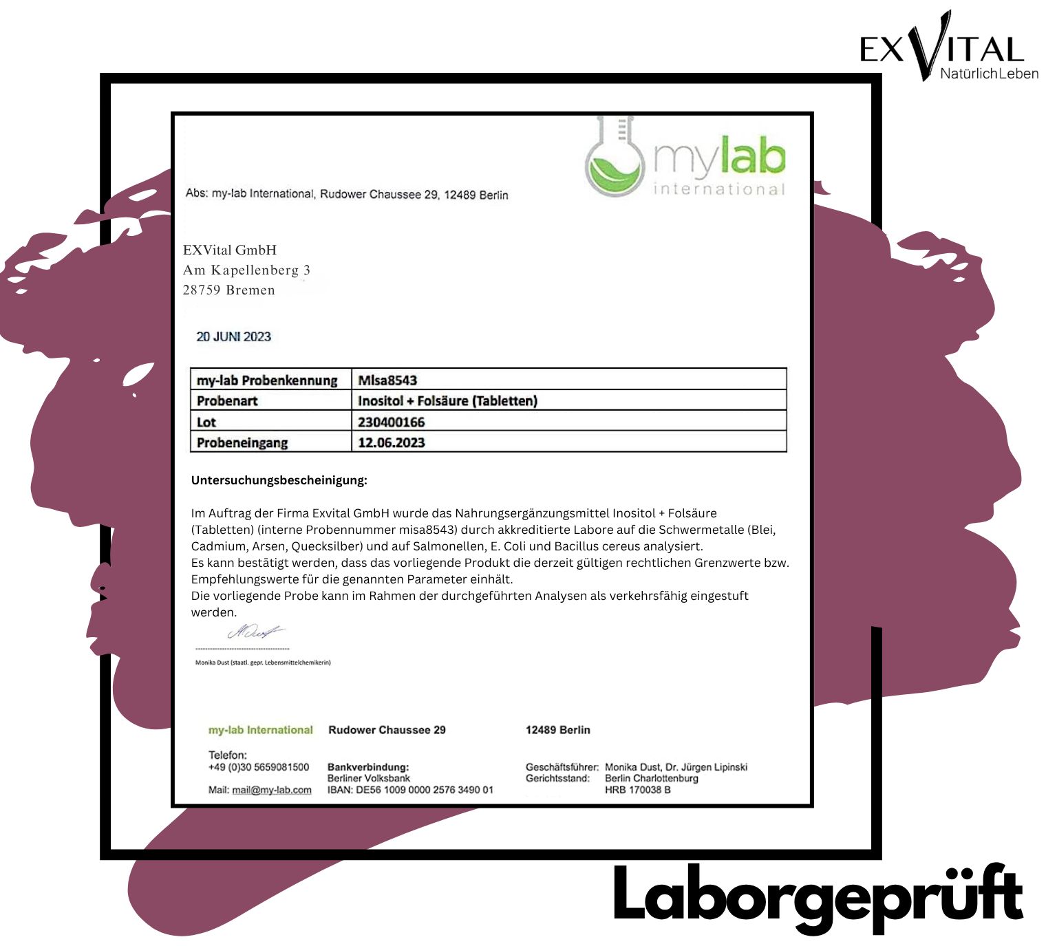 Rapporto di laboratorio. mylab International. Nome del campione: Inositolo + Acido folico (compresse). Testato in laboratorio. Logo EXVital.