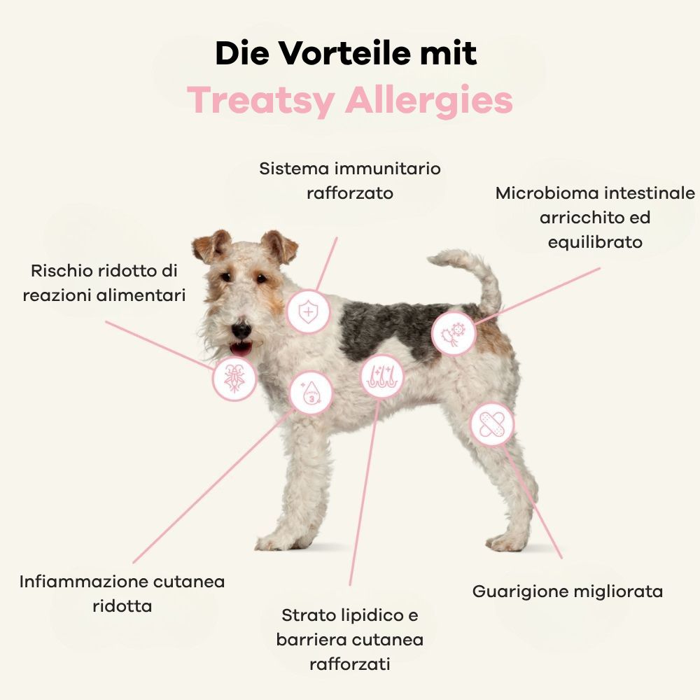 Infografica: Vantaggi con Treatsy Allergies. Cane con cerchi che mostrano i vantaggi: sistema immunitario, pelle.