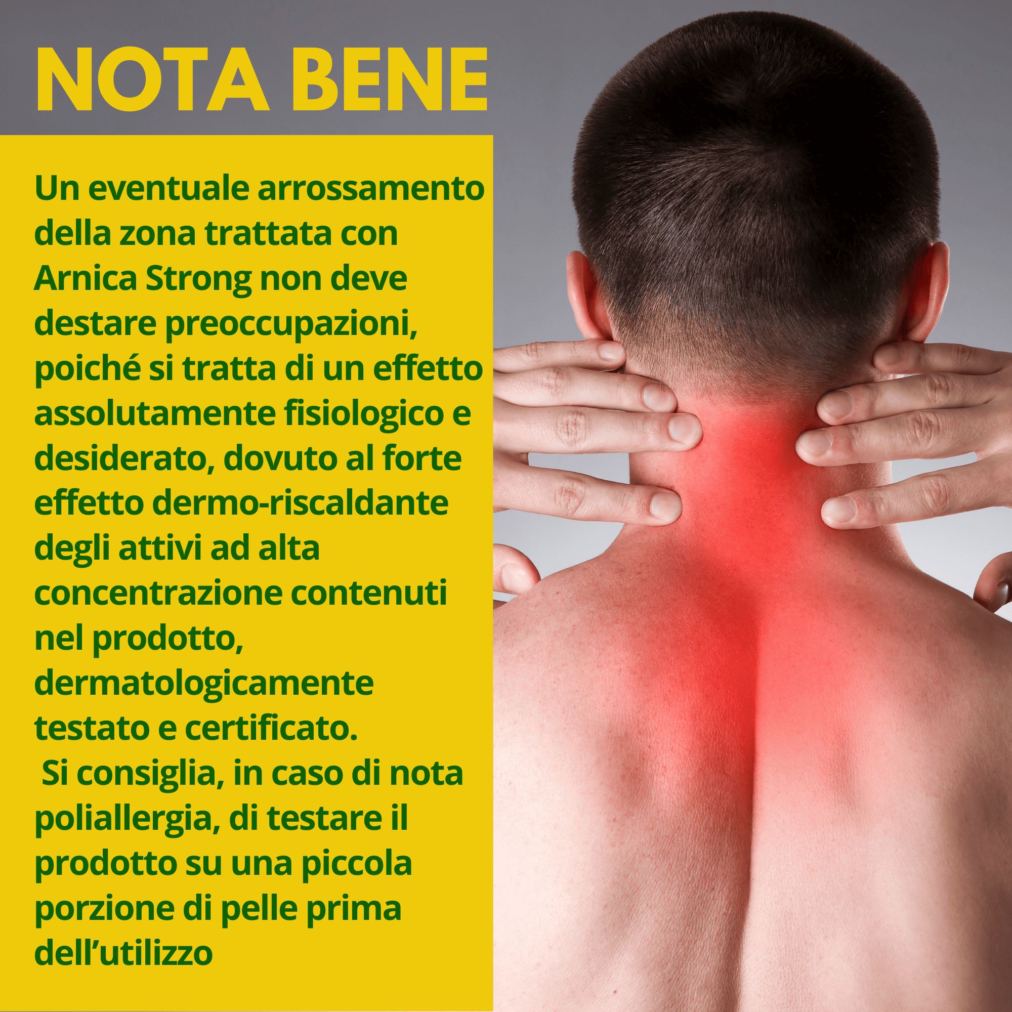 AMBIOPH - Arnica gel Forte - Arnica per cavalli uso amano e l'artiglio Del Diavolo