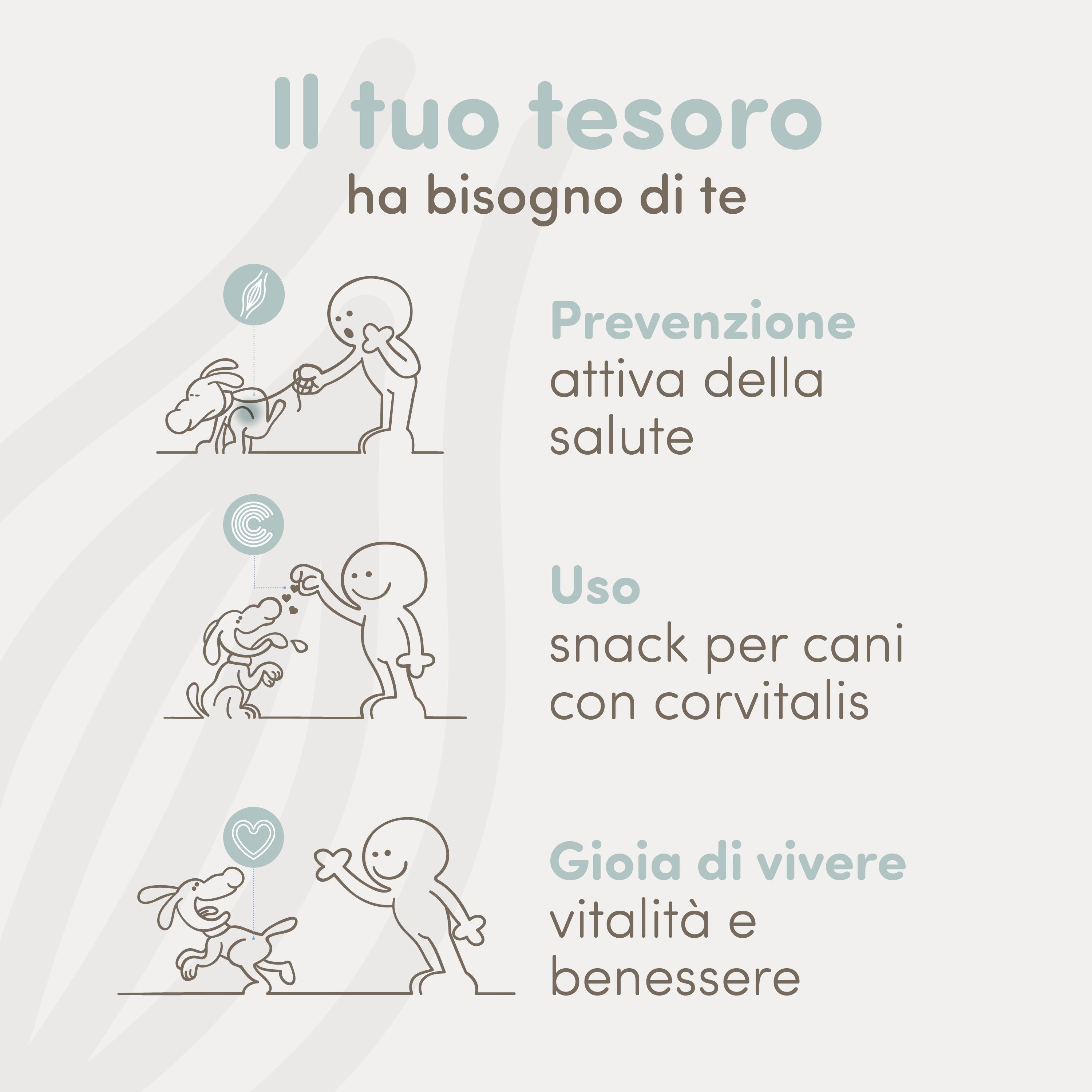 Tre illustrazioni: Prevenzione, Uso di snack per cani, Gioia di vivere.