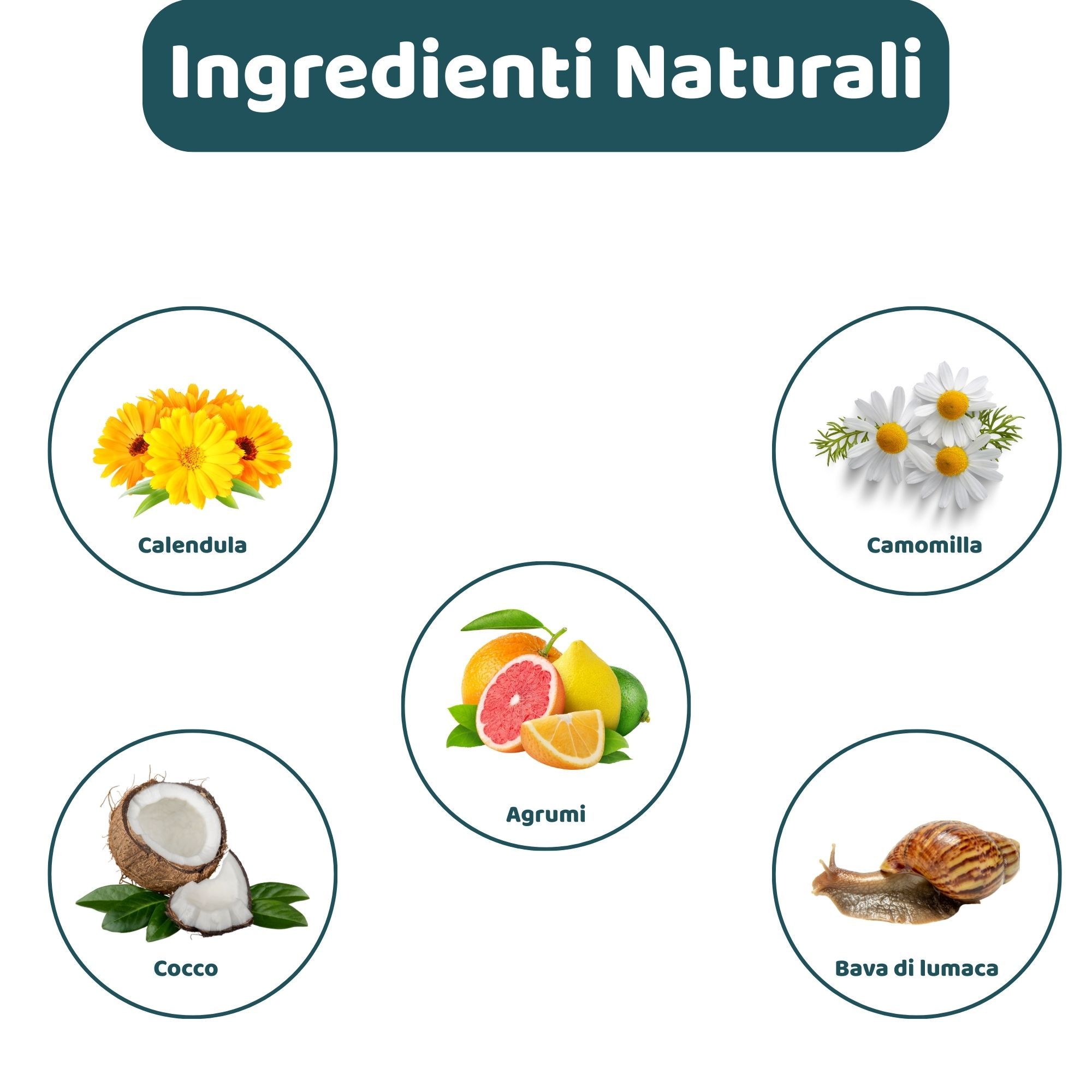 Grafica con ingredienti: Calendula, Camomilla, Cocco, Agrumi e Bava di lumaca. Testo: Ingredienti Naturali.