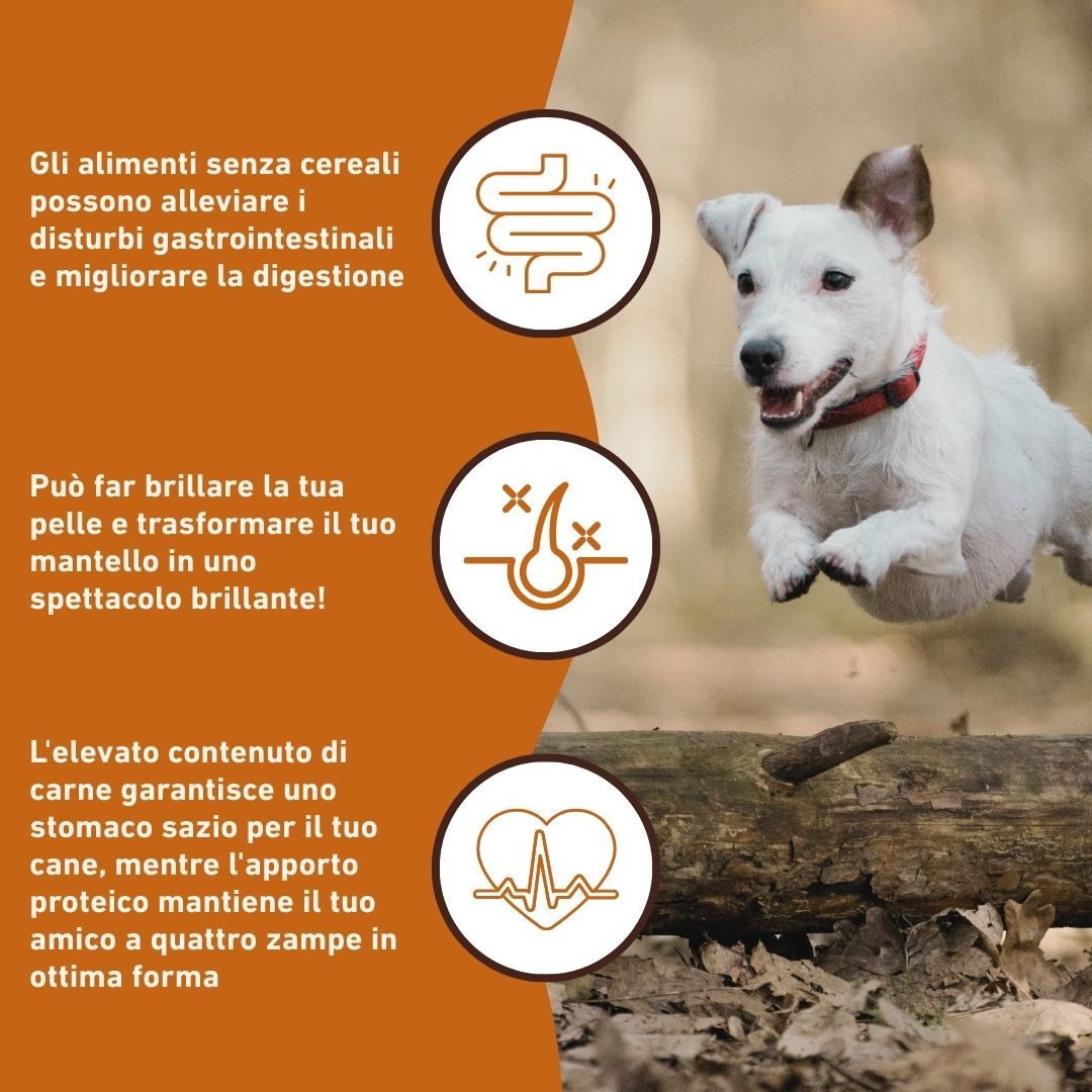 Tre icone con testo. Testo: Gli alimenti senza cereali possono alleviare i disturbi gastrointestinali.