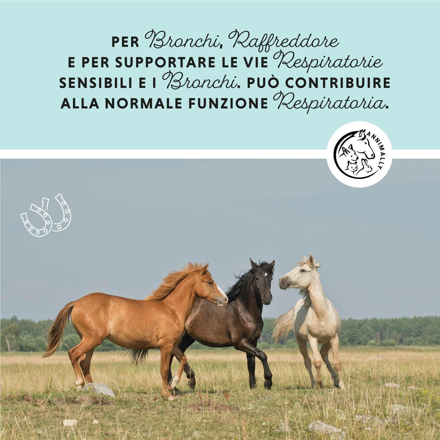 Tre cavalli in un prato. Testo: Supporta le vie respiratorie. Logo. Sfondo azzurro.