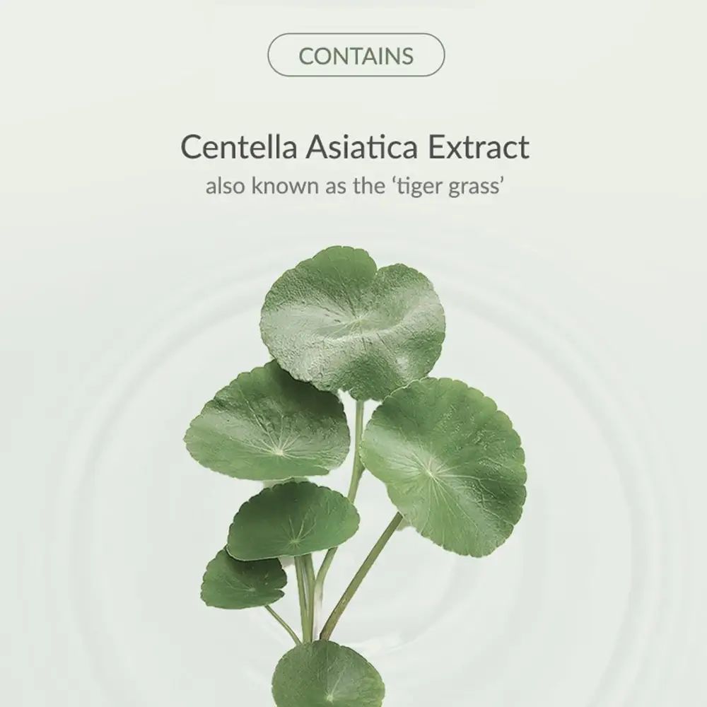 Primo piano di foglie verdi che galleggiano nell'acqua. Testo: Centella Asiatica Extract.