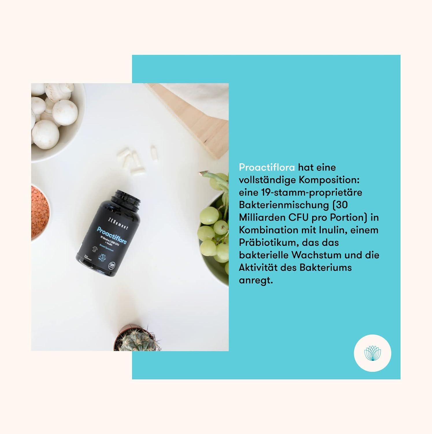 Flacone nero di capsule Zenement Proactiflora, circondato da ingredienti. 30 miliardi di CFU per porzione.