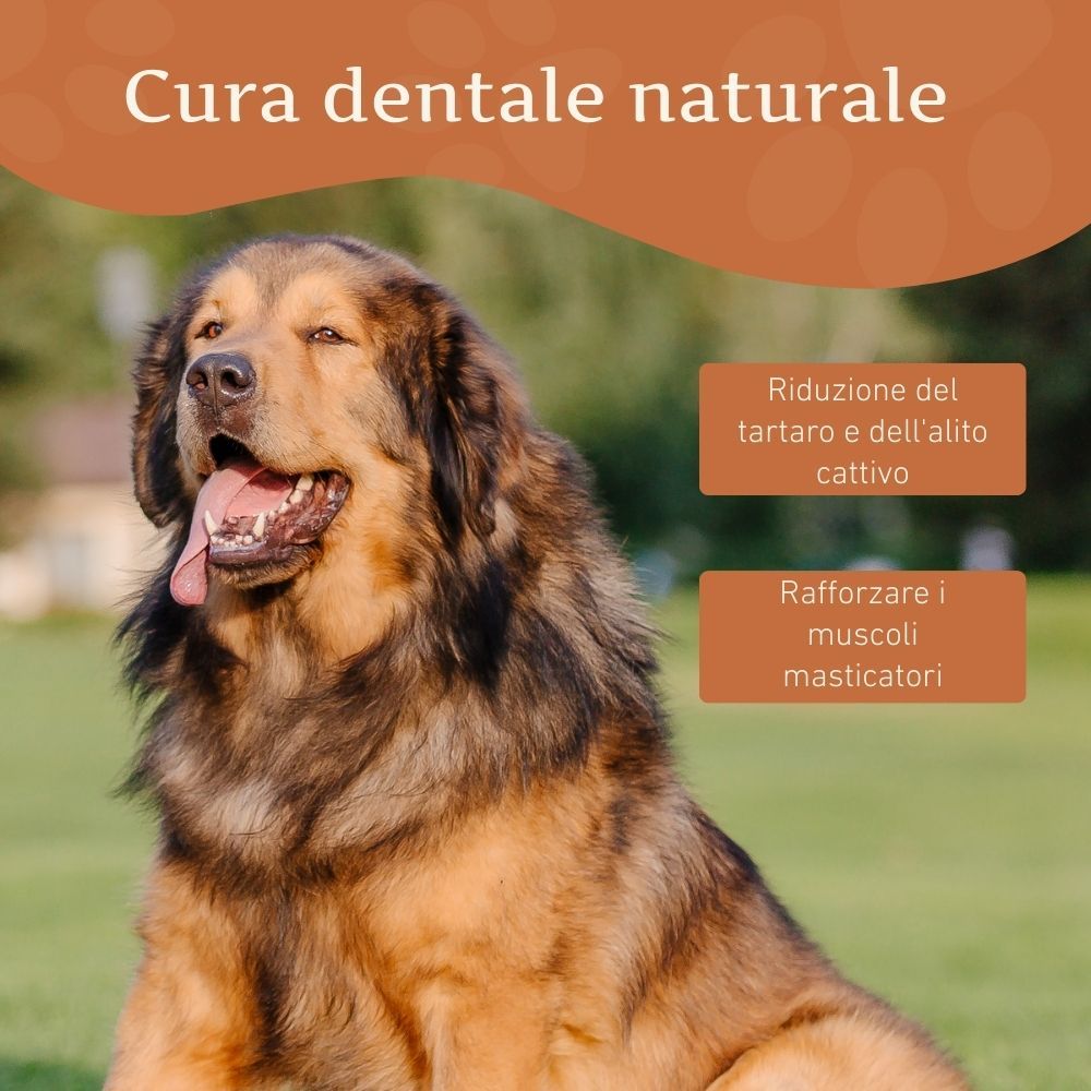 Cane con bastoncino masticabile. Testo: Cura dentale naturale. Riduzione del tartaro e dell'alito cattivo. Rafforzare i muscoli masticatori.