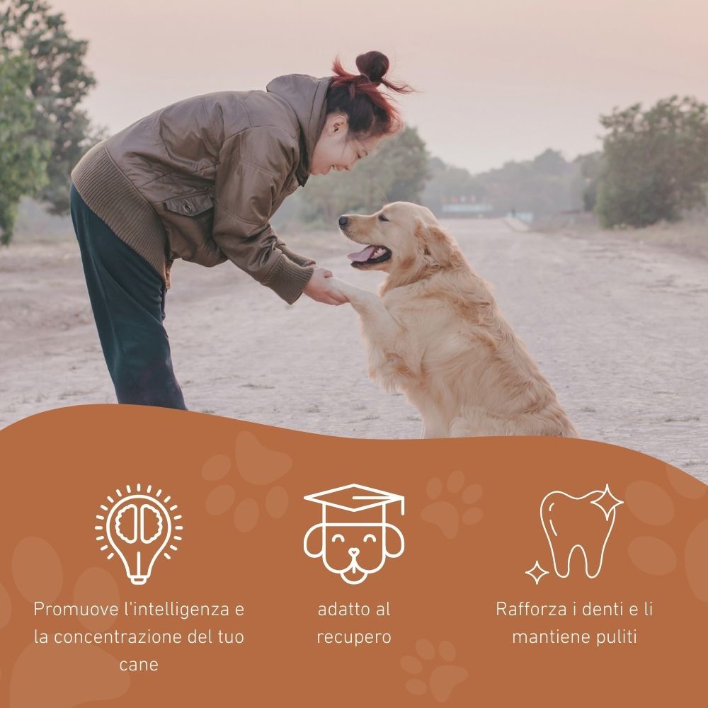 Donna e cane interagiscono. Icone e testo: Promuove l'intelligenza, adatto al recupero, rafforza i denti e li mantiene puliti.