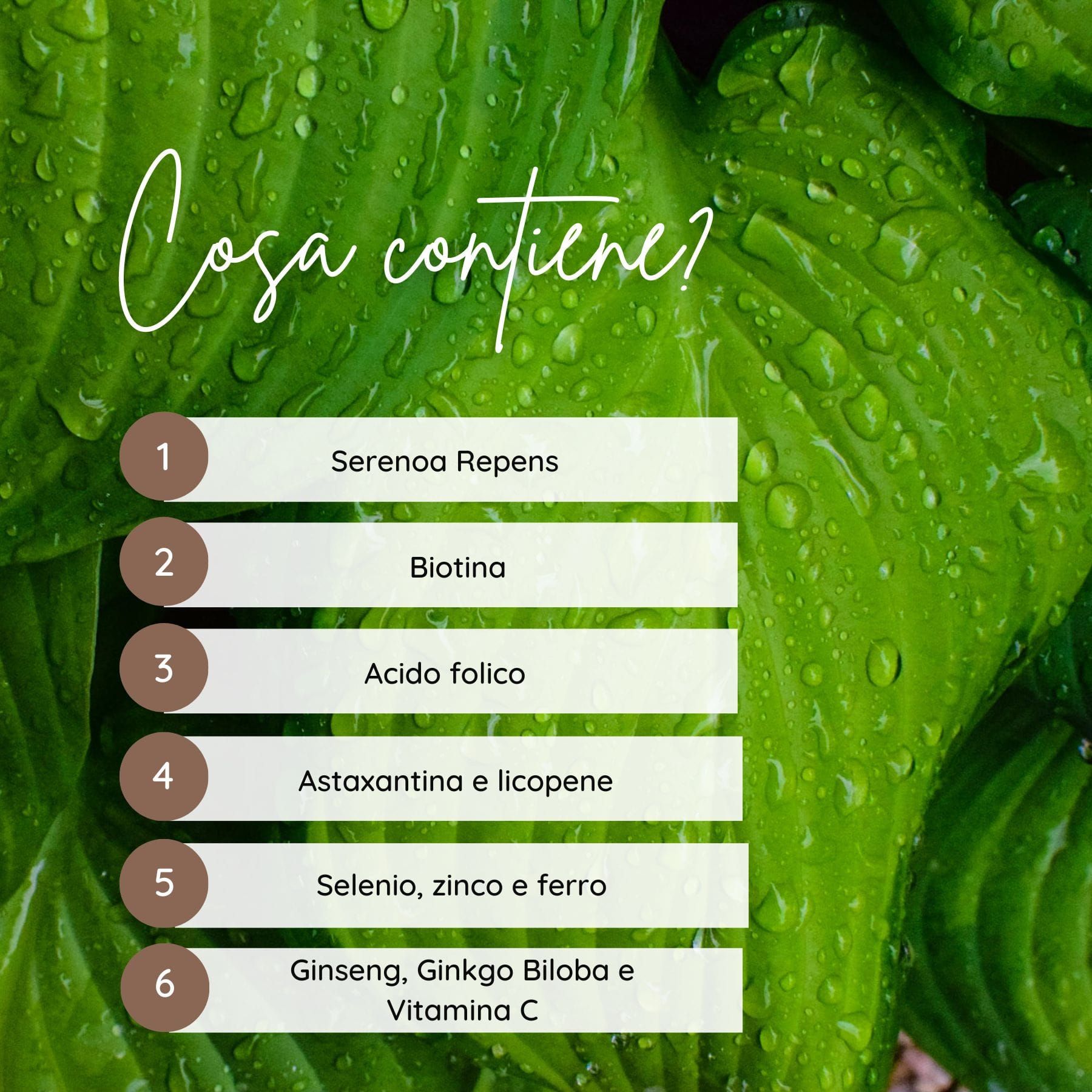 Elenco degli ingredienti. Contiene Serenoa Repens, biotina, acido folico, astaxantina, selenio, zinco, ferro, ecc.