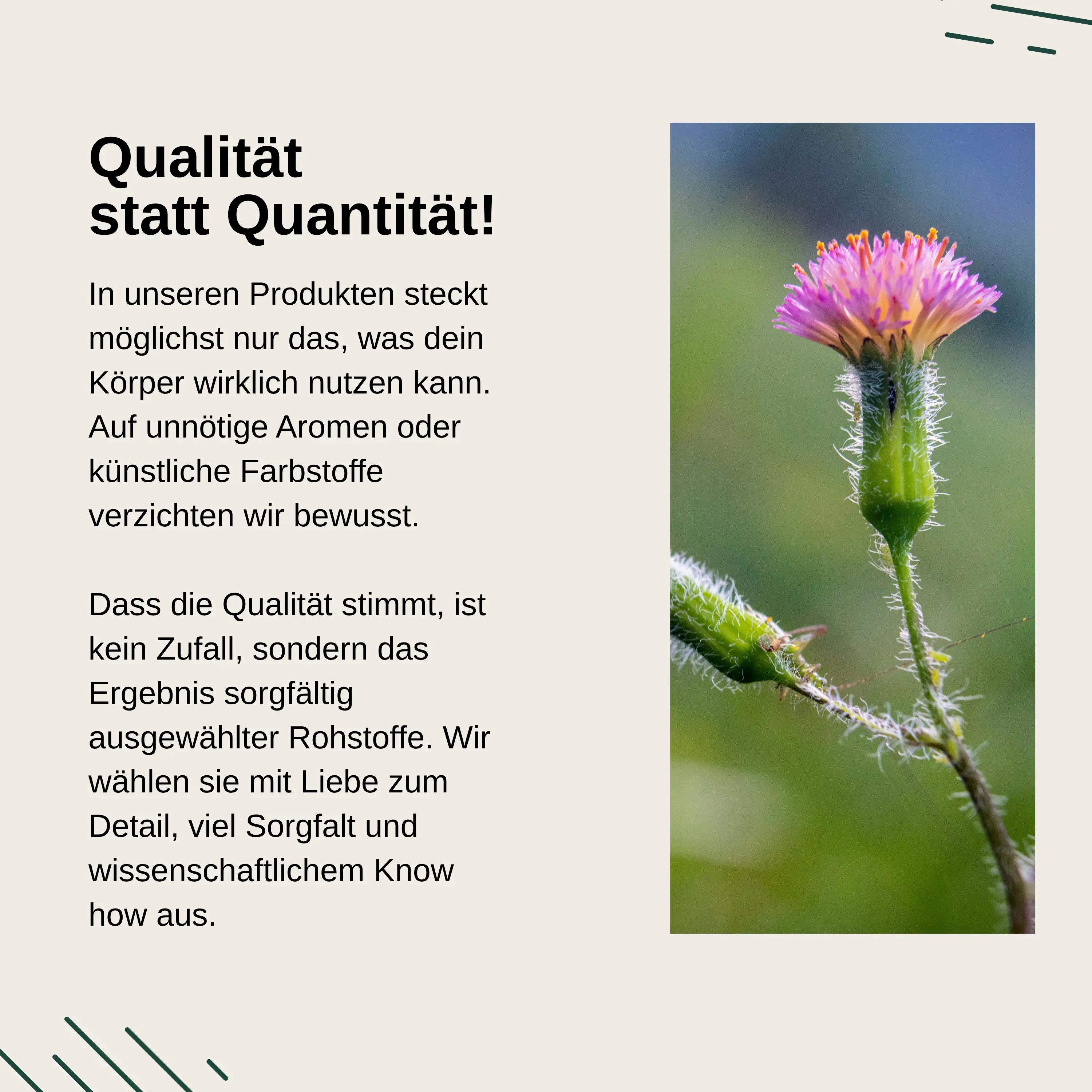 Fiore su uno stelo in primo piano. Testo: Qualità invece di quantità per i prodotti Vita Elements.