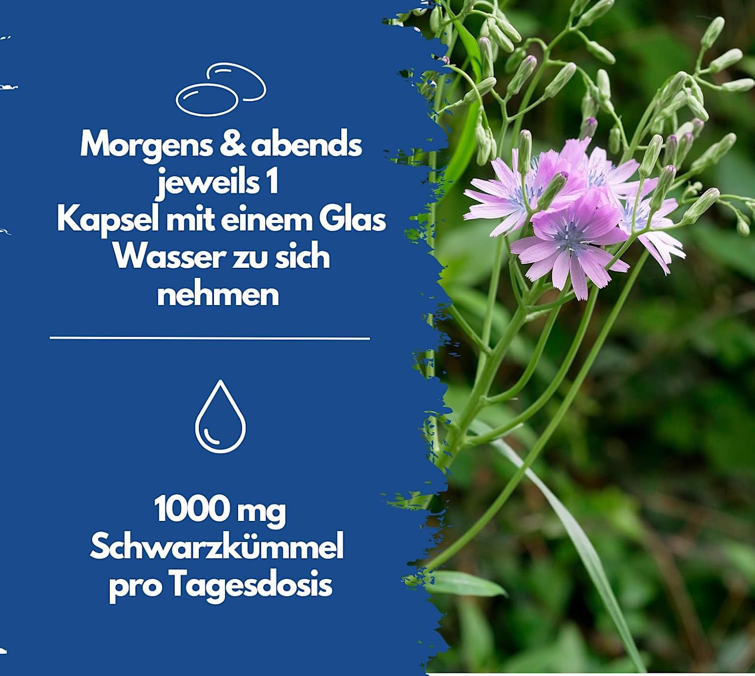 Fiori e piante. Testo: Assumere 1 capsula al mattino e alla sera con un bicchiere d'acqua. 1000 mg di olio di cumino nero per dose giornaliera.