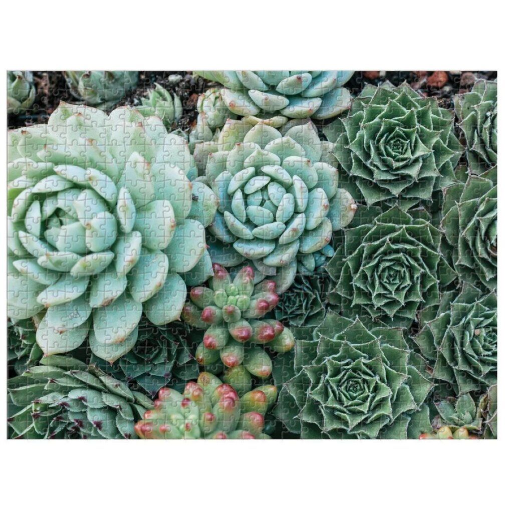 galison puzzle reversibile Giardino delle Succulente 500 pezzi