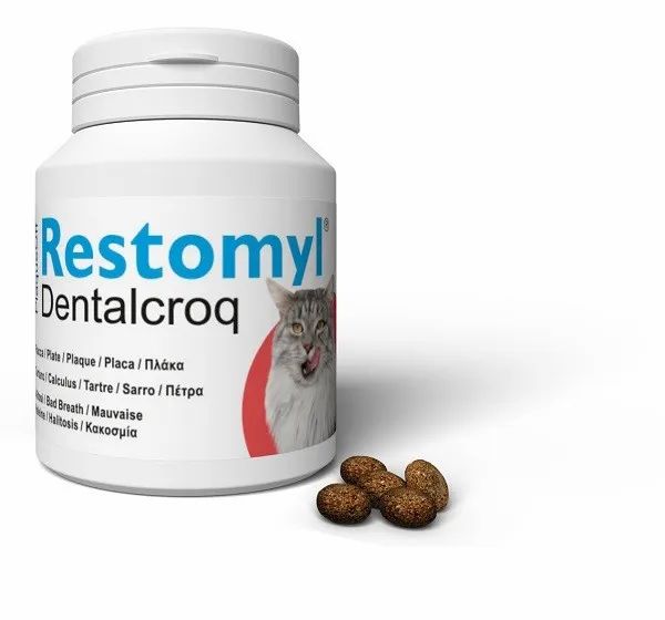 Restomyl Dentalcroq - gatto