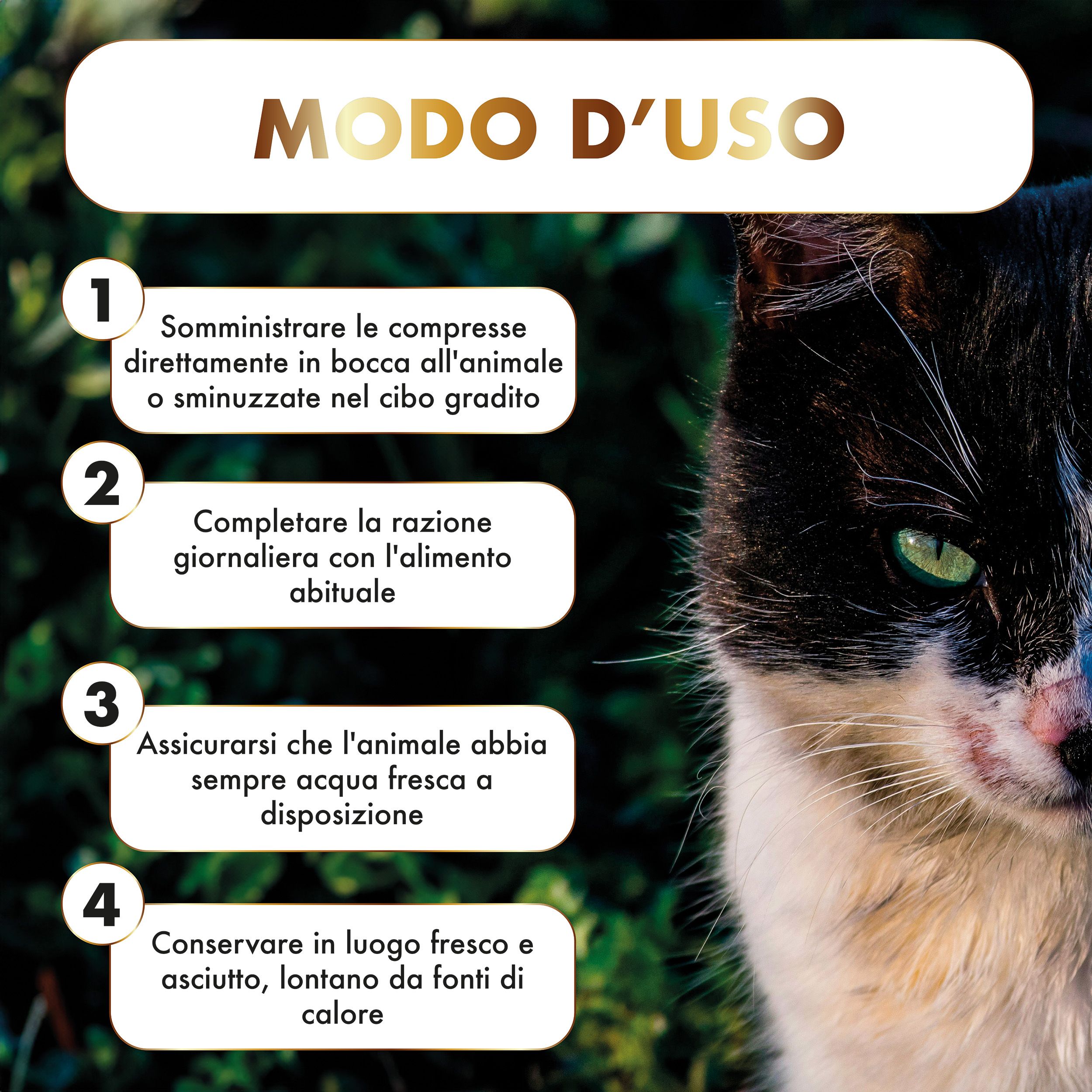 Istruzioni per l'uso di SERENICALM. Gatto in primo piano. Testo: 'Somministrare le compresse'.