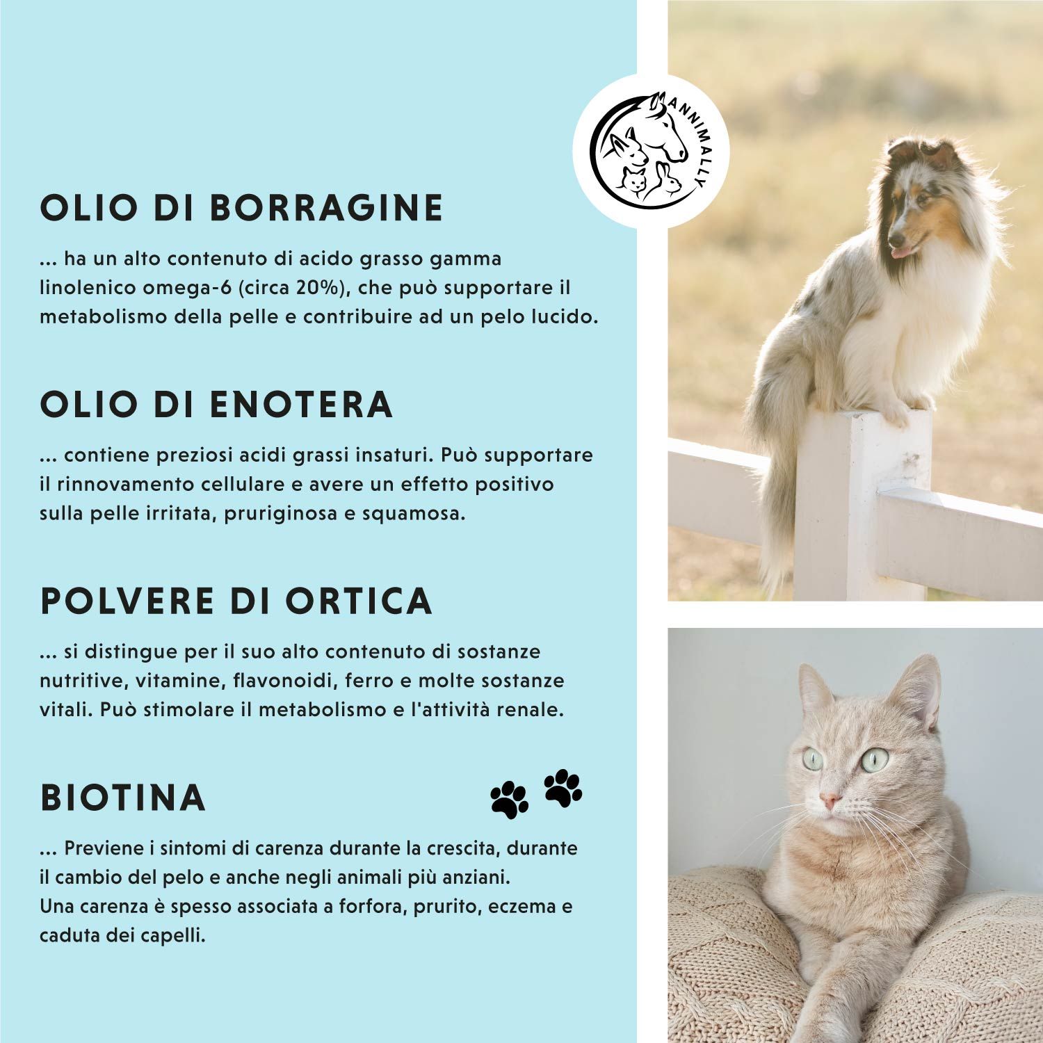 Testo su sfondo blu. Logo. Cane e gatto. Testo: Olio di borragine, olio di enotera, polvere di ortica, biotina.
