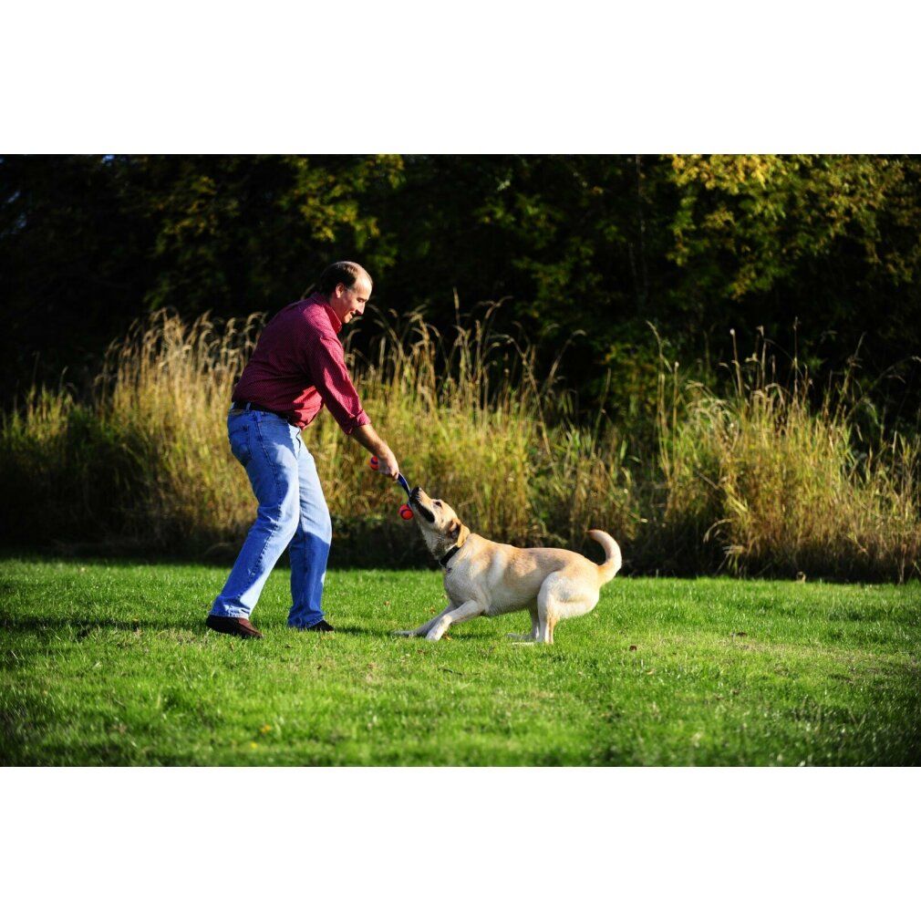 Un uomo e un cane giocano in un campo. L'uomo tiene un giocattolo con due palline arancioni e strisce blu.