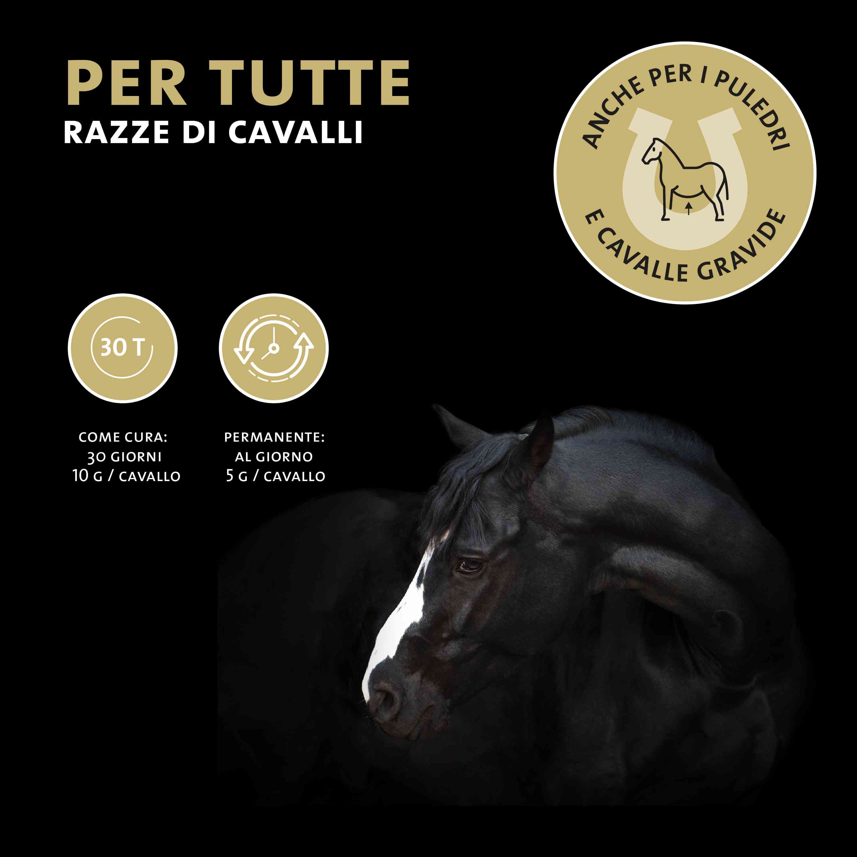 Barattolo di polvere Peticare Husten, circondato da polvere e icone: foglia, goccia, C, molecola.