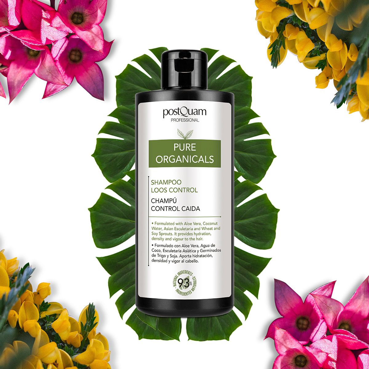 Flacone nero di shampoo Postquam Pure Organicals. Scritto: Shampoo Loos Control, Champú Control Caida. Con foglie e fiori.