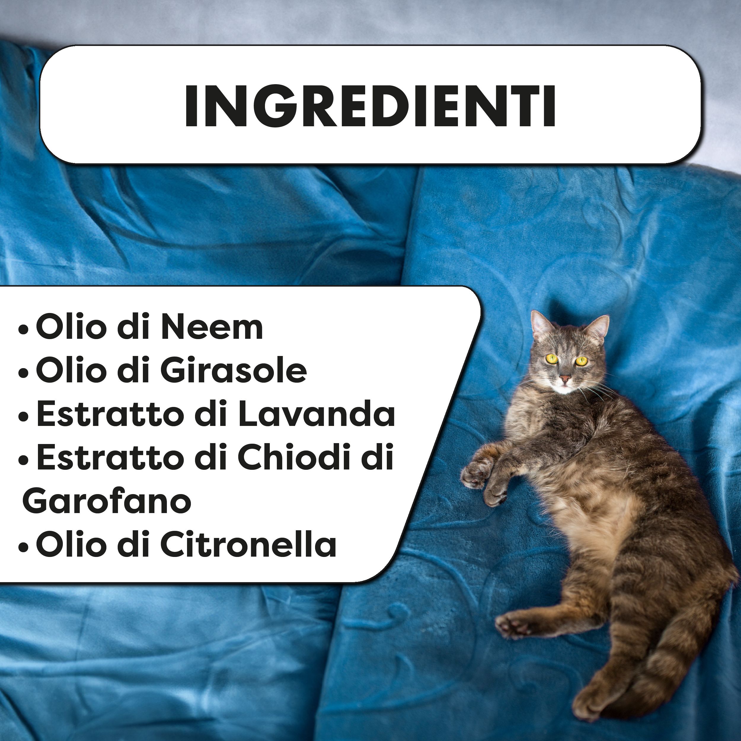 Elenco degli ingredienti per uno spray protettivo per animali, con un gatto.