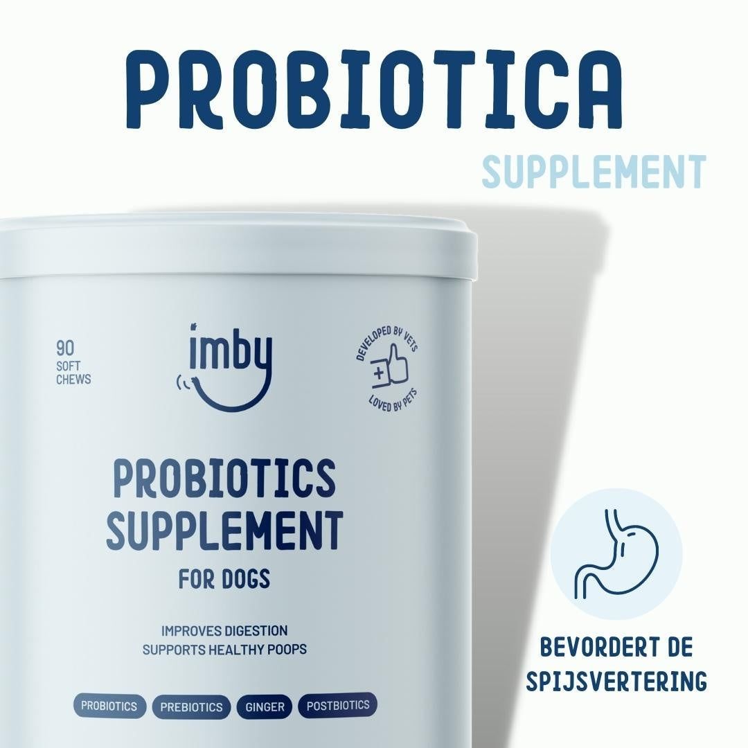 Imby Probiotici Supplement: ingredienti attivi come probiotici, prebiotici, zenzero, postbiotici.