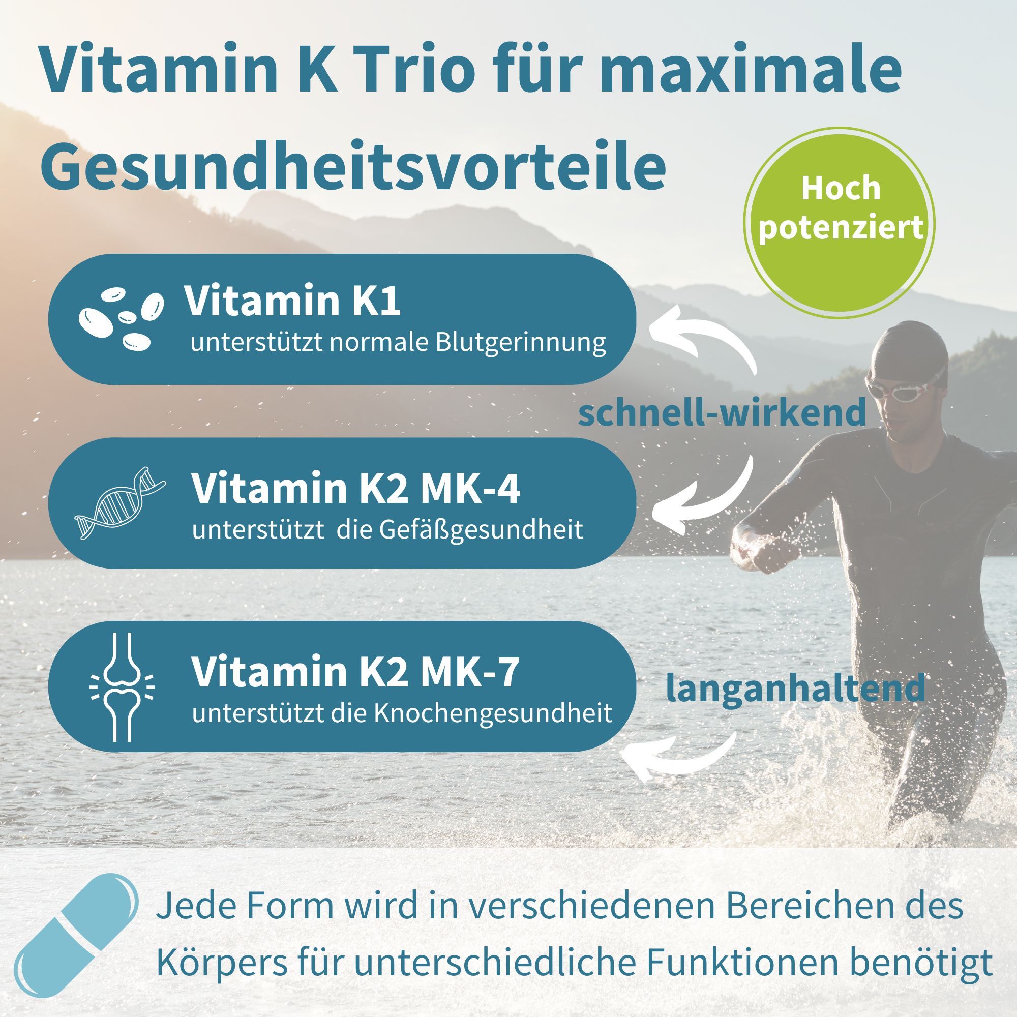 Grafica mostra Vitamina K1, K2 MK-4, K2 MK-7 per coagulazione, vasi, ossa.