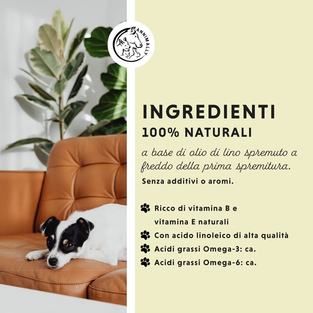 Cane sul divano. Testo sugli ingredienti: 100% naturale, olio di lino, vitamine B ed E, acidi grassi omega-3/6.