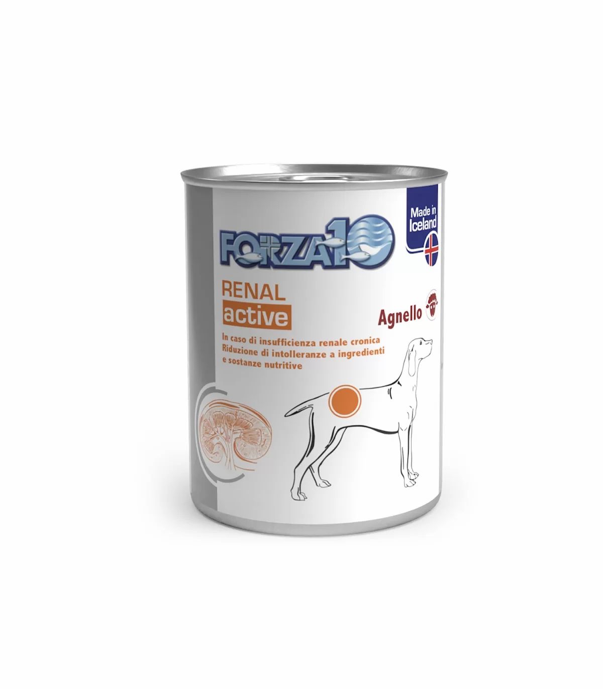 Forza 10 cane umido renal active