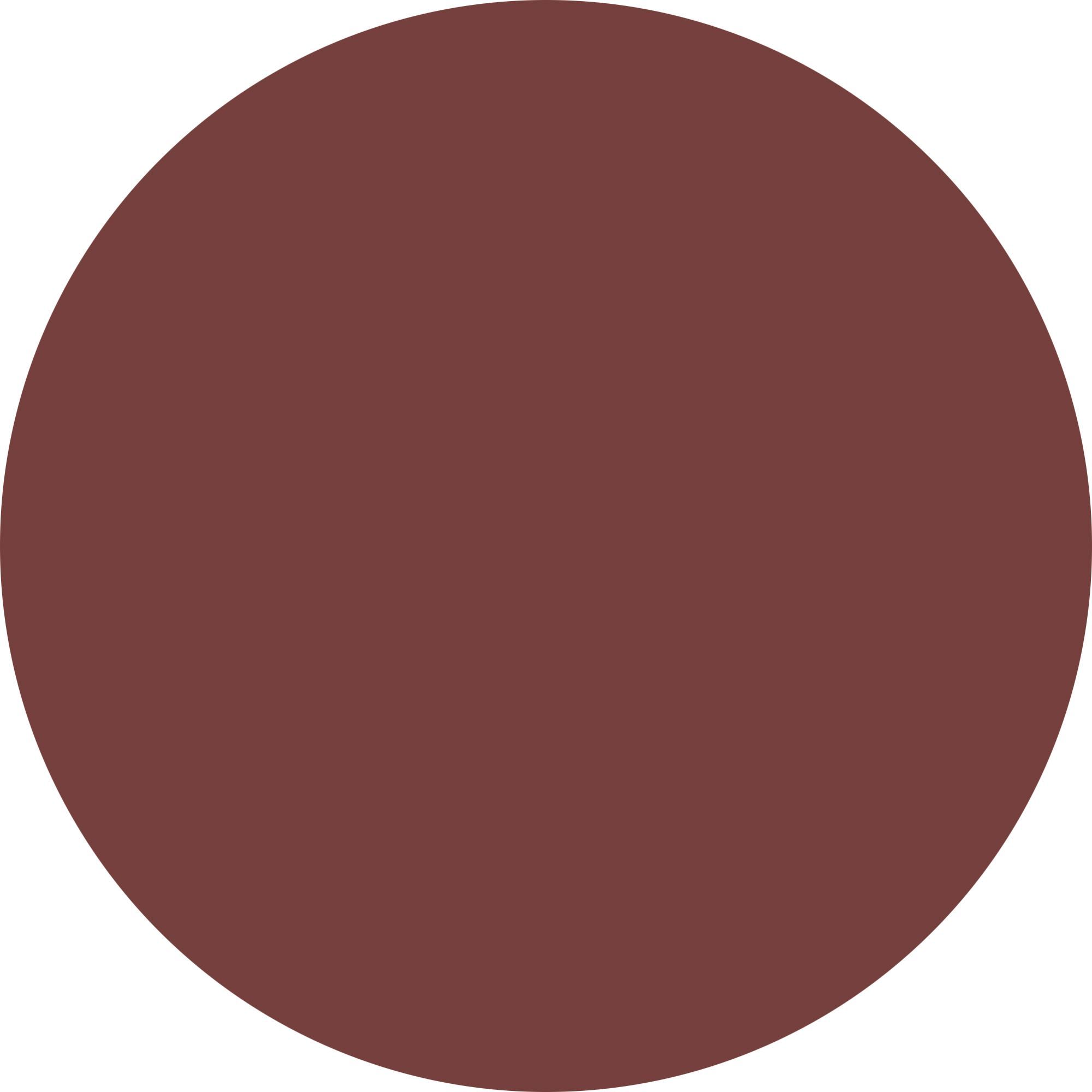 WYCON cosmetics let it matt - matt lipstick 04 mulled wine