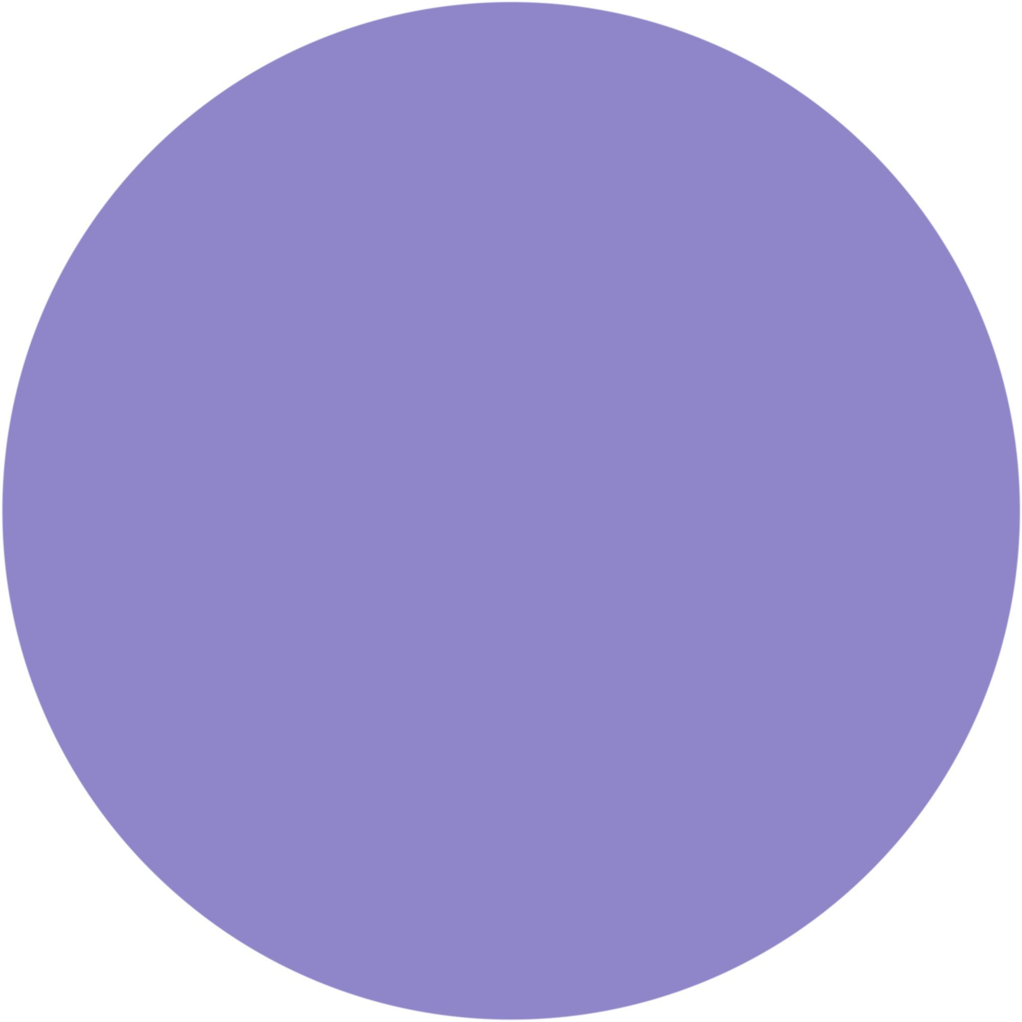 WYCON cosmetics color explosion 08 lilac