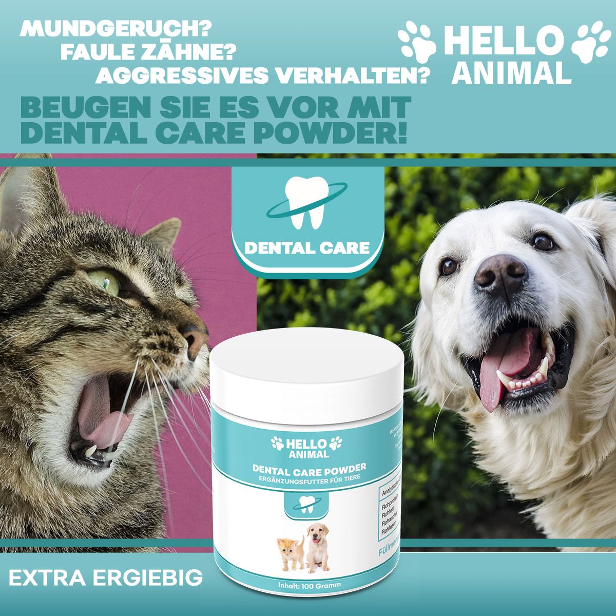Immagine pubblicitaria con barattolo di prodotto e immagini. Testo: Prevenite con Dental Care Powder! Extra conveniente.