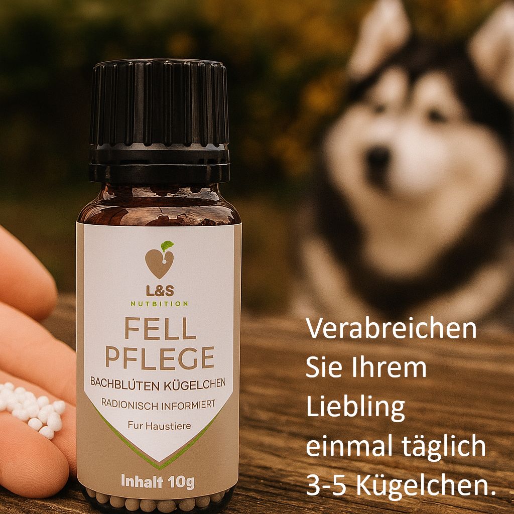 Flacone L&S Nutrition Fellpflege, da cui una mano preleva delle perle. Sullo sfondo, la testa di un cane.