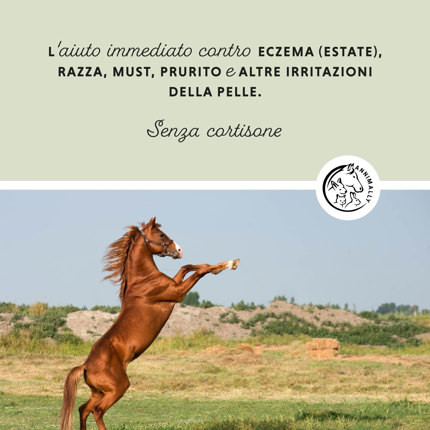 Testo: L'aiuto immediato contro eczema (estate), razza, must, prurito e altre irritazioni della pelle. Senza cortisone. Cavallo.
