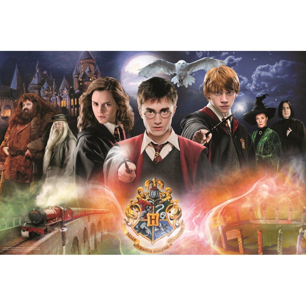 trefl Mysteriös Harry Potter Puzzle 300 pezzi