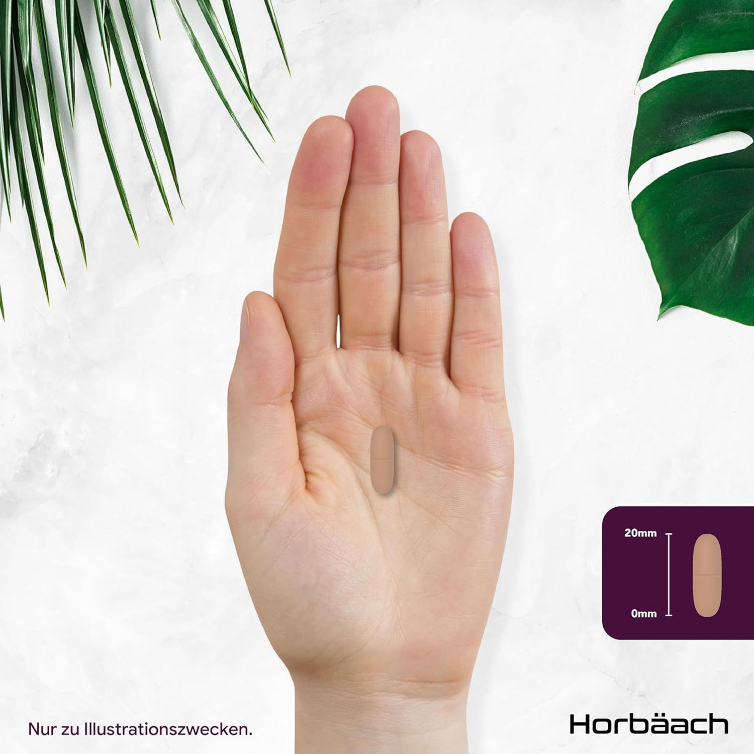 Mano con compressa. Compressa: lunga 20mm. Horbaach.