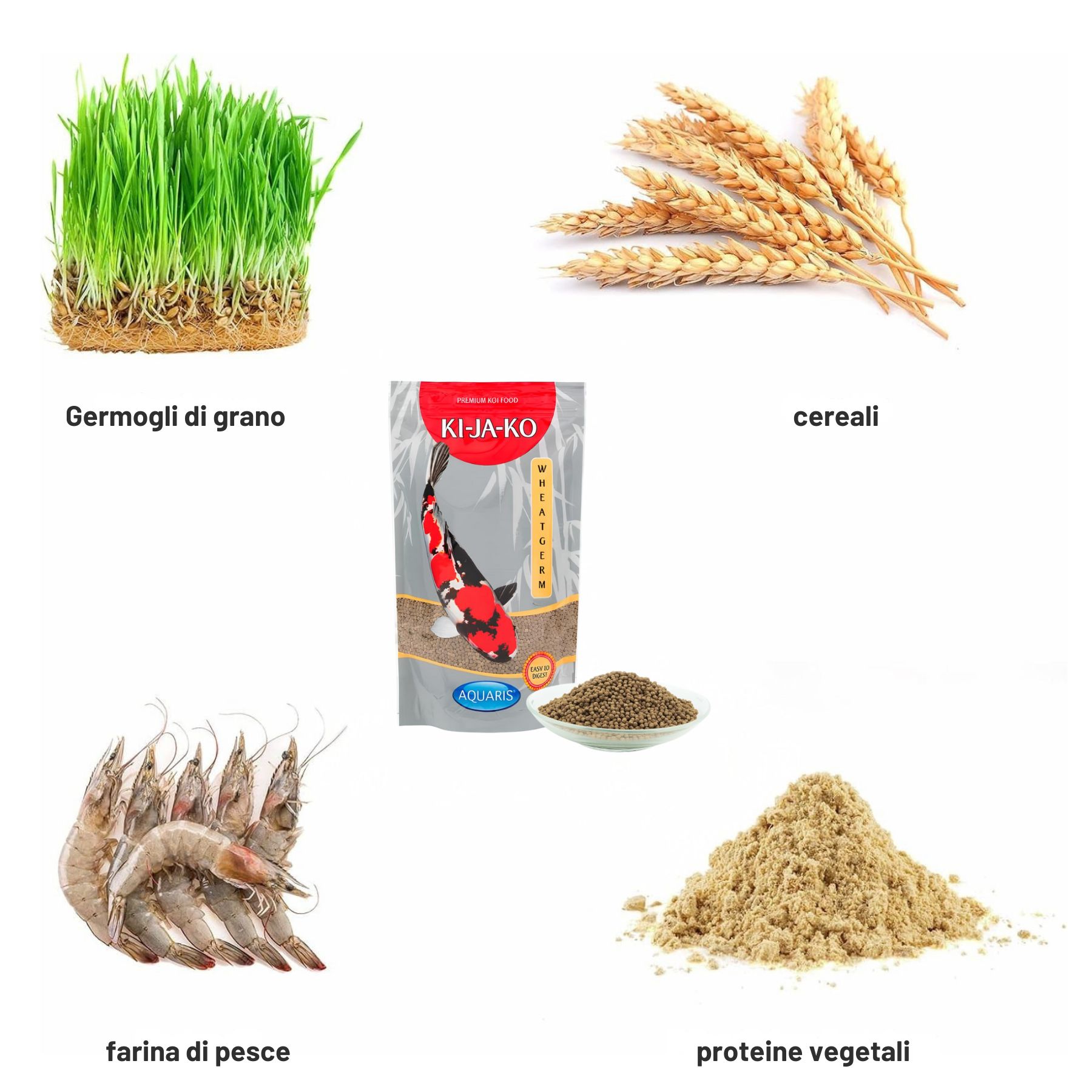 Ingredienti per mangime per pesci: germe di grano, cereali, farina di pesce, proteine vegetali.