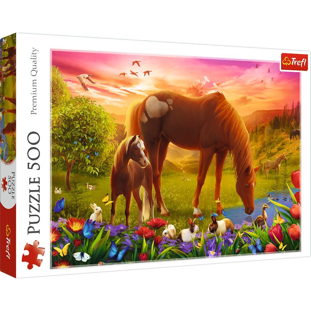 trefl Cavallo nel prato puzzle 500 pezzi