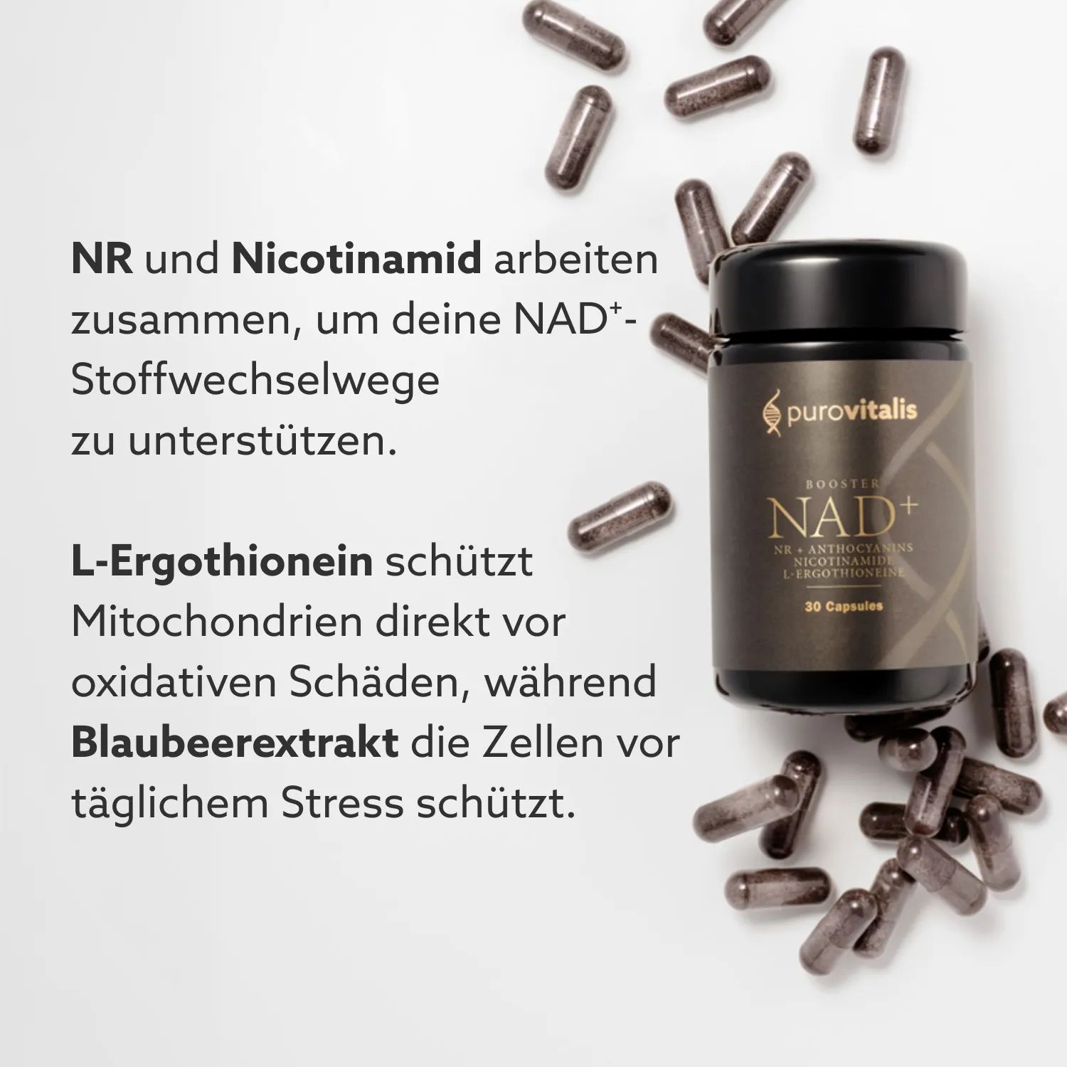 Flacone e capsule. Testo: NR e Nicotinamide supportano le vie metaboliche. L-Ergotioneina protegge i mitocondri. Estratto di mirtillo protegge le cellule.