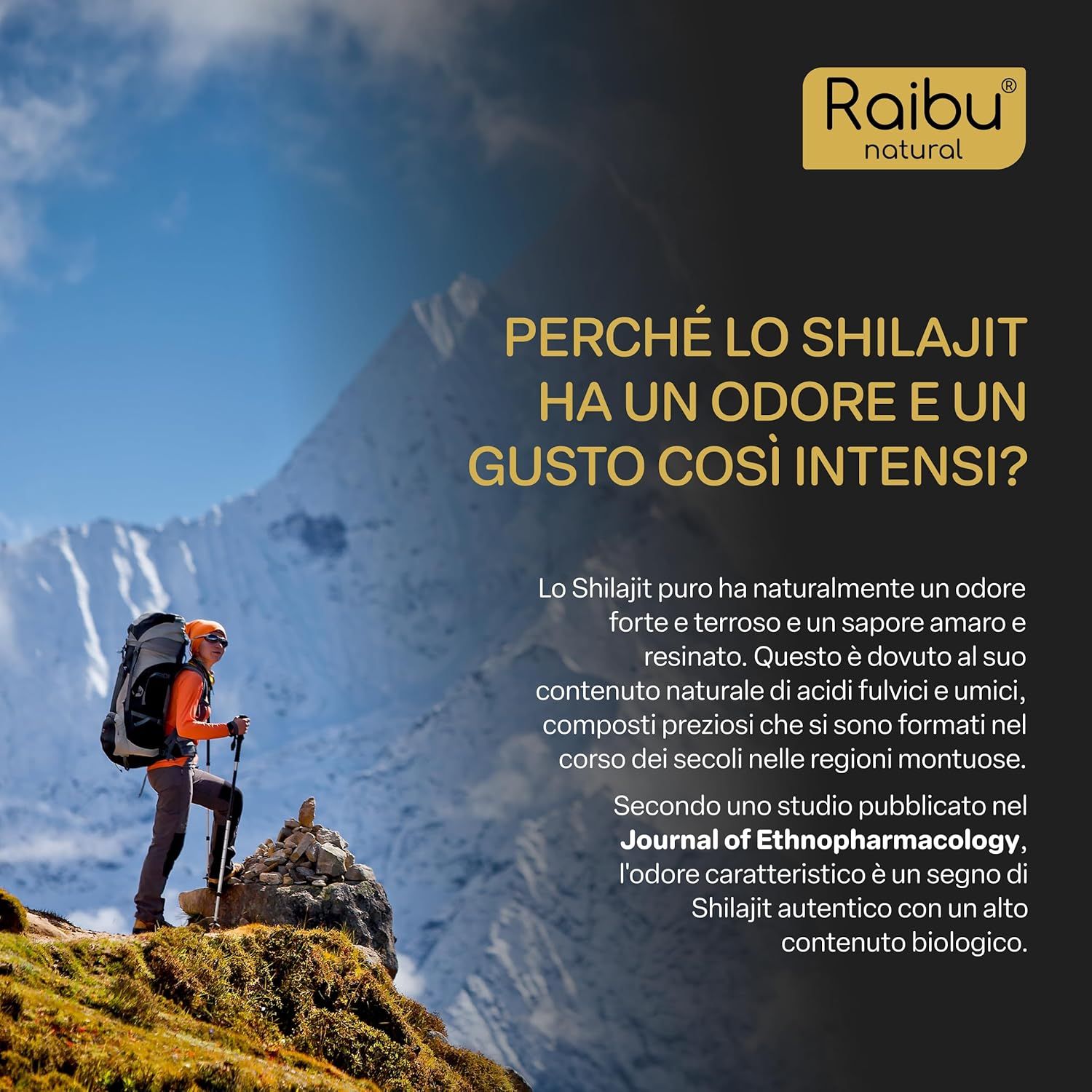Shilajit Himalayano Puro - Resina ad Alta Potenza - RAIBU