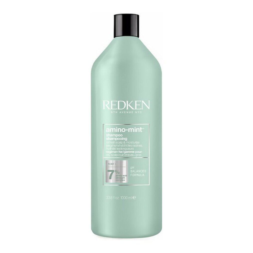 Flacone di shampoo verde chiaro con tappo nero. Scritta Redken, amino-mint Shampoo. pH 7.