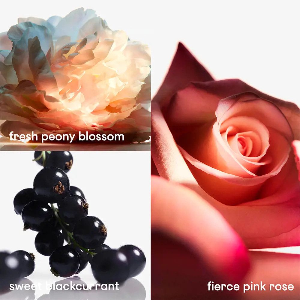 Tre primi piani: peonia, rosa e ribes nero. Didascalie: fresh peony blossom, fierce pink rose, sweet blackcurrant.