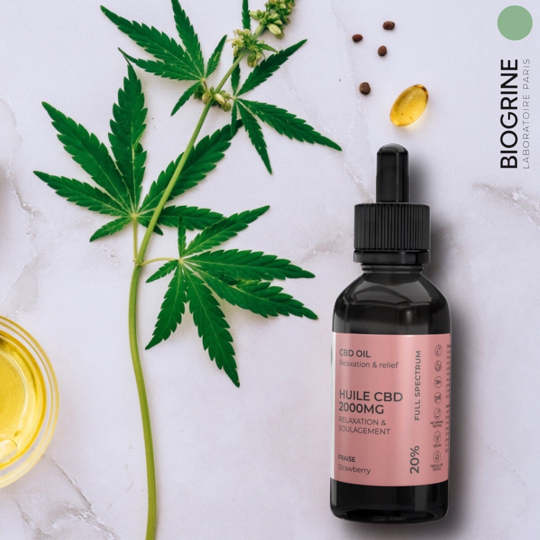 Flacone di vetro con contagocce, accanto pianta di cannabis, semi e capsula. Etichetta rosa con informazioni sul prodotto.