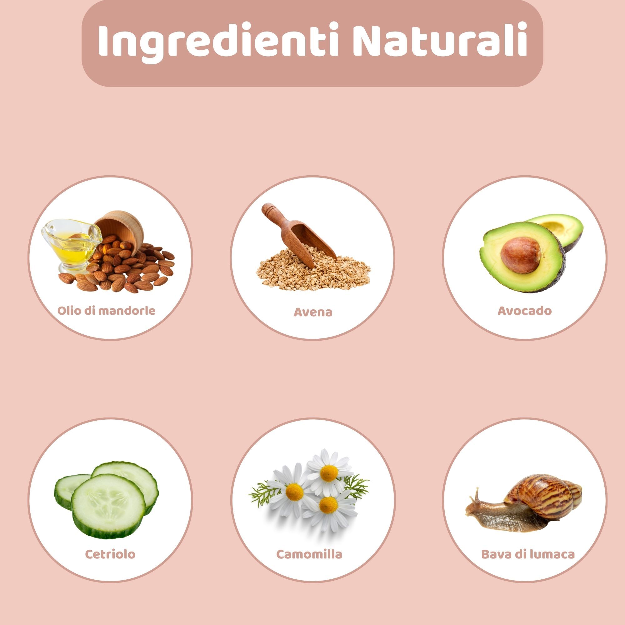 Illustrazione di un cane. Testo: 'Come si usa?' con istruzioni in quattro passaggi.