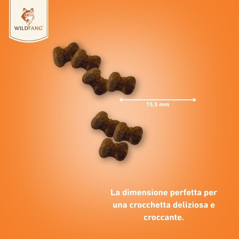 Snack a forma di osso marrone, 15,5 mm. Su sfondo arancione. Testo: 'La dimensione perfetta per uno snack delizioso e croccante'.