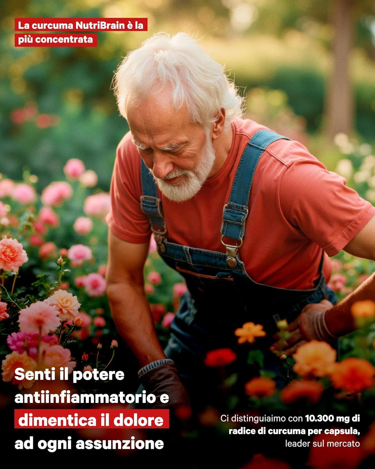 NUTRIBRAIN Capsula di Curcuma