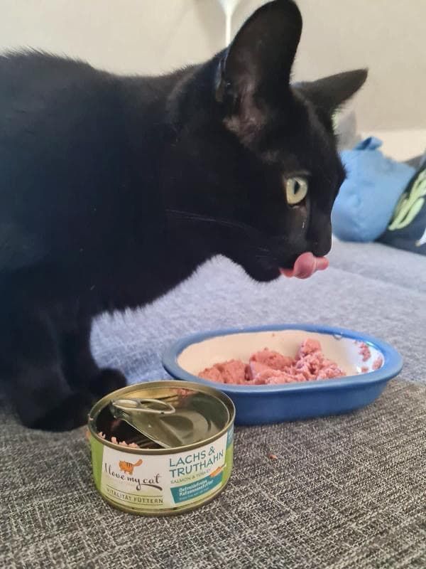 Gatto nero si lecca le labbra accanto a una lattina e una ciotola di cibo per gatti.
