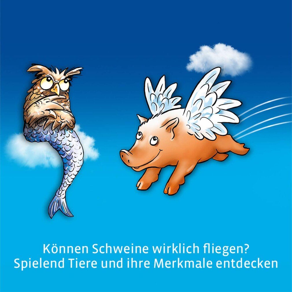 kosmos can Pigs Fly? Gioco da tavolo (edizione annuale)