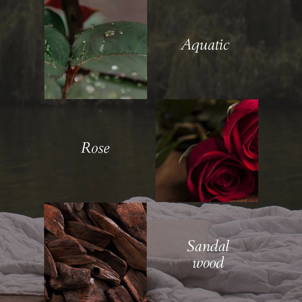 Foglie con gocce, rose rosse, legno. Testo: Aquatic, Rose, legno di sandalo.