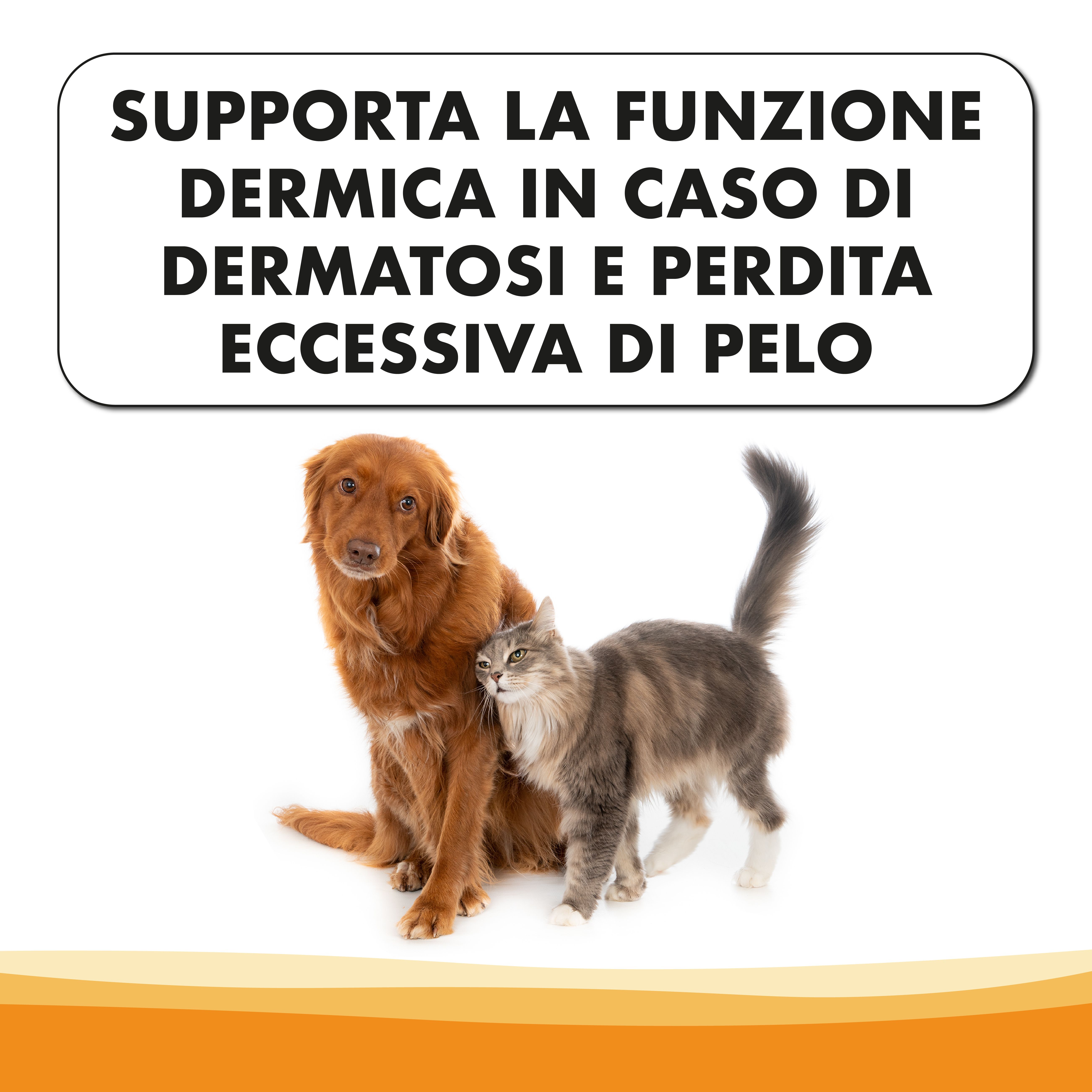 Un cane e un gatto vicini. Testo: Supporta la funzione dermica in caso di dermatosi e perdita eccessiva di pelo. Testo in italiano.