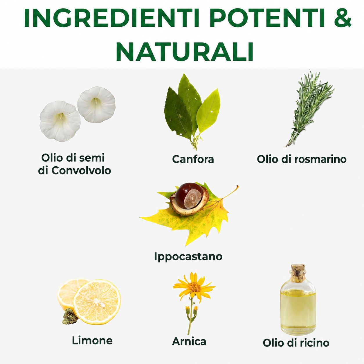 Varie piante e oli. Testo: Ingredienti potenti e naturali. Contiene: Convolvolo, canfora, olio di rosmarino, ippocastano, limone, arnica, olio di ricino.